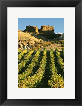 Framed Mt Difficulty Vineyard and Historic Sluicings, Bannockburn, South Island, New Zealand Print