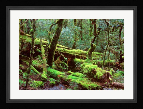 Framed Cradle Mt and Lake St Clair National Park, Tasmania, Australia Print