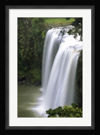 Framed Whangarei Falls, Whangarei, Northland, New Zealand Print