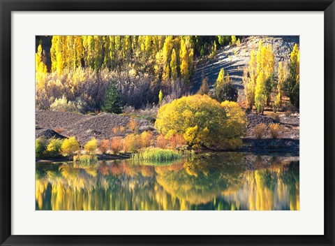 Framed Autumn Colours, Lake Dunstan, Central Otago, New Zealand Print
