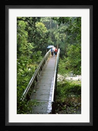 Framed Bridge Below Whangarei Falls, Northland, New Zealand Print