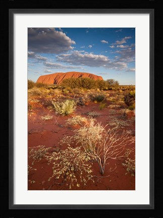 Framed Australia, Uluru-Kata Tjuta NP, Red desert, Ayers Rock Print