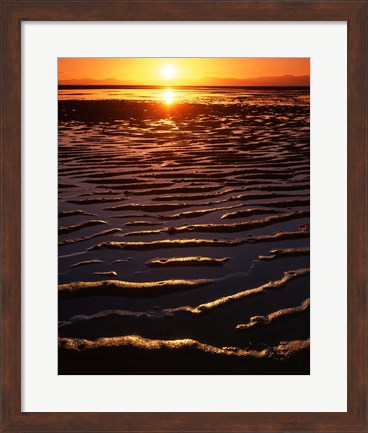 Framed Coast at sunset, Abel Tasman National Park, New Zealand Print