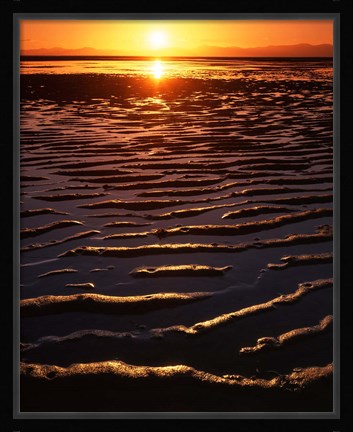 Framed Coast at sunset, Abel Tasman National Park, New Zealand Print