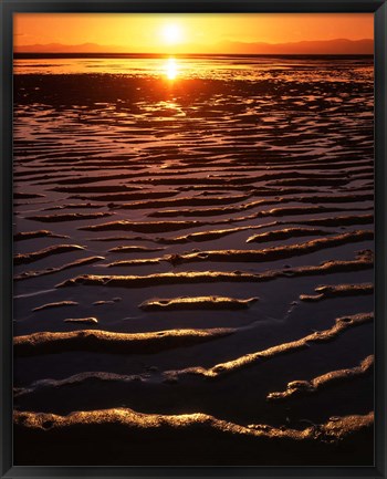 Framed Coast at sunset, Abel Tasman National Park, New Zealand Print
