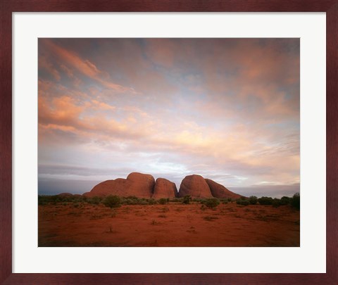 Framed Olgas, Uluru-Kata Tjuta NP, Northern Territory, Australia Print