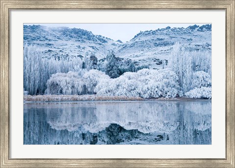Framed Reflections and Hoar Frost, Butchers Dam, near Alexandra, Central Otago, South Island, New Zealand Print