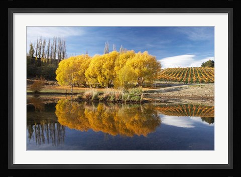 Framed Autumn Vineyard, Bannockburn Inlet, Lake Dunstan, Central Otago, South Island, New Zealand Print