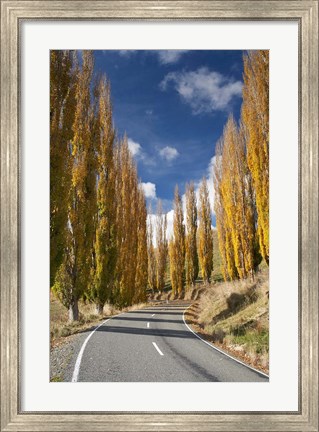Framed Autumn, Rangitikei District, North Island, New Zealand Print