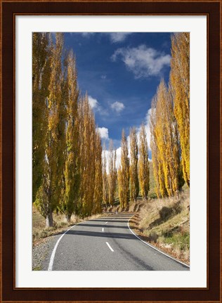 Framed Autumn, Rangitikei District, North Island, New Zealand Print