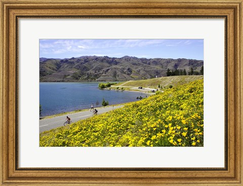 Framed Californian Poppies and Cyclists, Lake Dunstan, South Island, New Zealand Print