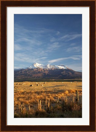Framed Farm Scene, Mt Ruapehu, North Island, New Zealand Print