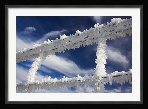 Framed Frosty Wire Fence, Otago, South Island, New Zealand Print