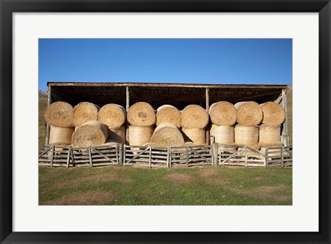 Framed Hay Barn, Ahuriri Valley, North Otago, South Island, New Zealand Print