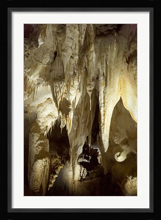 Framed Stalactites, Ruakuri Caves, North Island, New Zealand Print