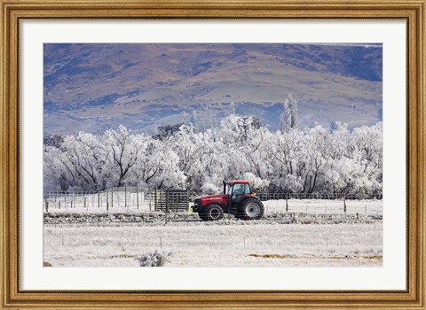 Framed Tractor and Hoar Frost, Sutton, Otago, South Island, New Zealand Print