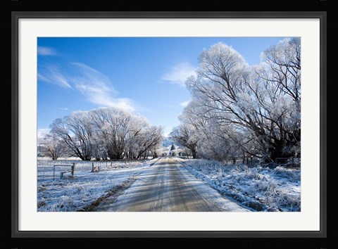 Framed Hoar Frost near Oturehua, Central Otago, South Island, New Zealand Print