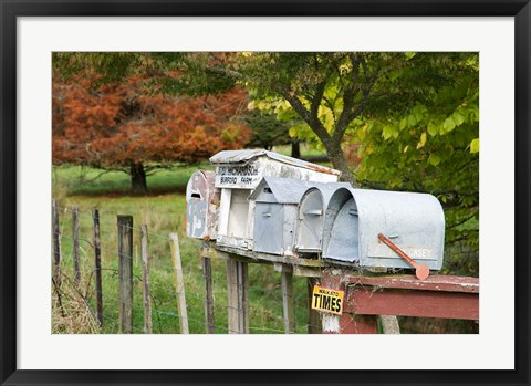 Framed Letterboxes, King Country, North Island, New Zealand Print