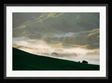 Framed Misty Farmland near Martinborough, Wairarapa, North Island, New Zealand Print