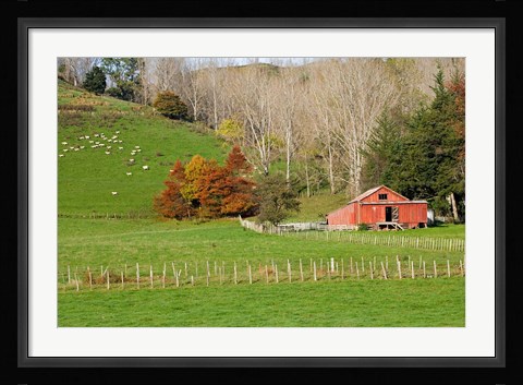 Framed Wool Shed and Farmland, Kawhatau Valley, Rangitikei, North Island, New Zealand Print