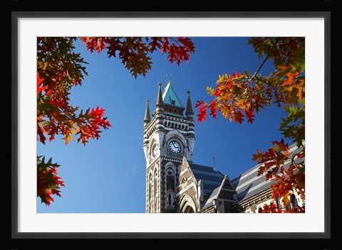 Framed Clock Tower, Dunedin, South Island, New Zealand Print