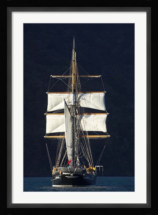 Framed Spirit of New Zealand Tall Ship, Marlborough Sounds, South Island, New Zealand Print
