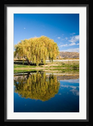 Framed Domain Road Vineyard, Bannockburn, South Island, New Zealand Print