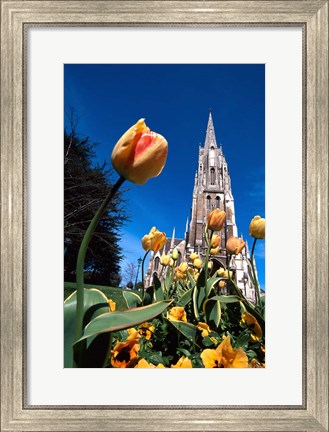 Framed First Church, Dunedin, New Zealand Print