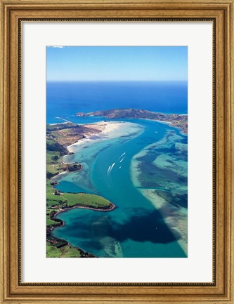 Framed Otago Harbor, Dunedin, New Zealand Print