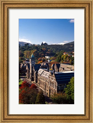 Framed University of Otago, Dunedin, New Zealand Print