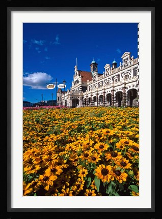 Framed Historic Railway Station and field of flowers, Dunedin, New Zealand Print
