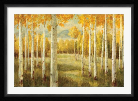 Framed Aspens Print