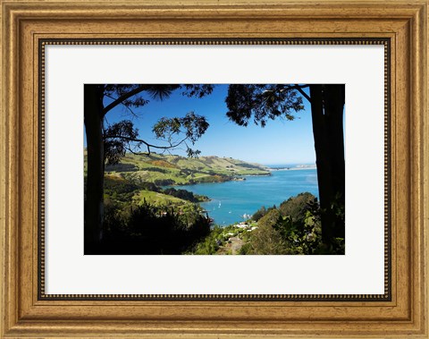 Framed Careys Bay, Otago Harbour, South Island, New Zealand Print
