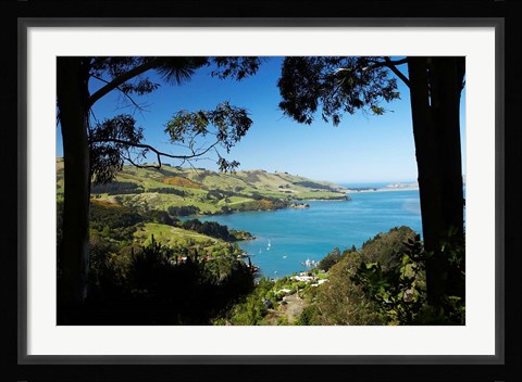 Framed Careys Bay, Otago Harbour, South Island, New Zealand Print