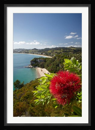 Framed Coastline, Cooks Beach, North Island, New Zealand Print