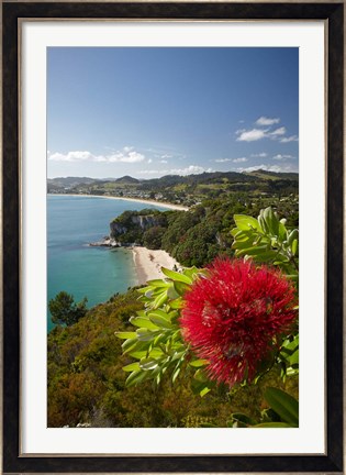 Framed Coastline, Cooks Beach, North Island, New Zealand Print