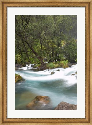 Framed New Zealand, North Island, Rapids on Tarawera River Print