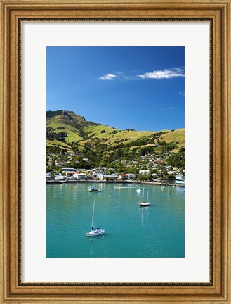 Framed New Zealand, South Island, Canterbury, Akaroa Harbor Print