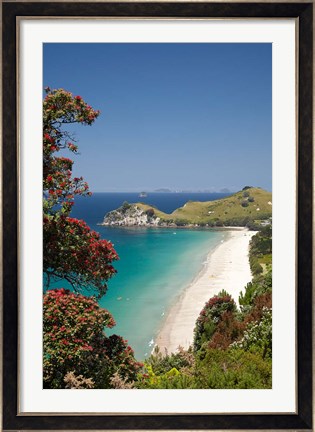 Framed Pohutukawa Tree, Beach, North Island, New Zealand Print