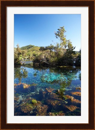 Framed Pupu Springs, Golden Bay, South Island, New Zealand Print