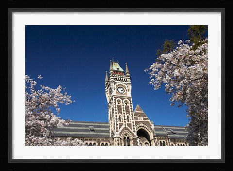 Framed Spring, Clock Tower, Dunedin, South Island, New Zealand (horizontal) Print