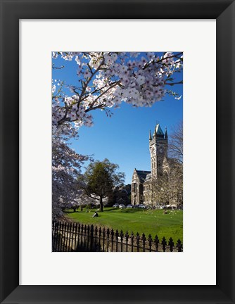 Framed Spring, Clock Tower, Dunedin, South Island, New Zealand (vertical) Print