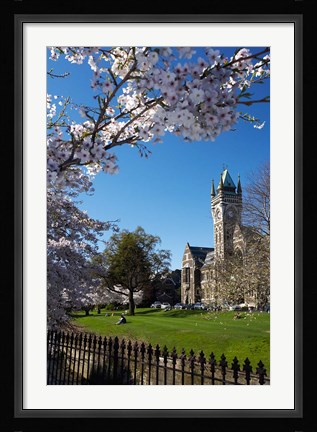 Framed Spring, Clock Tower, Dunedin, South Island, New Zealand (vertical) Print