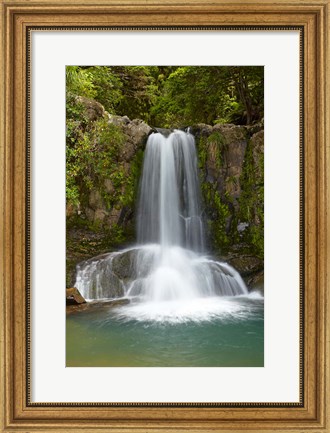 Framed Waiau Waterfall near 309 Road, Coromandel Peninsula, North Island, New Zealand Print