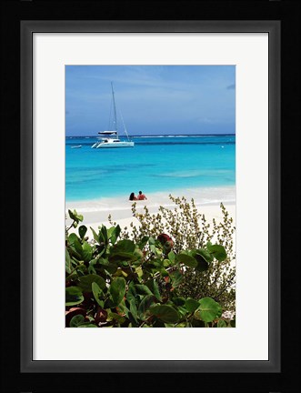 Framed Swimming the waters of Prickly Pear Island with Festiva Sailing Vacations Print
