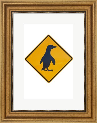 Framed Penguin Warning Sign, New Zealand Print