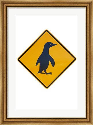 Framed Penguin Warning Sign, New Zealand Print