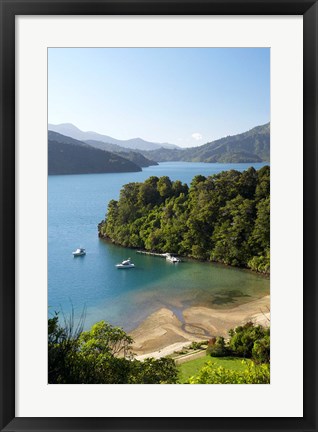 Framed Whenuanui, Becks Bay, Marlborough Sounds, South Island, New Zealand Print