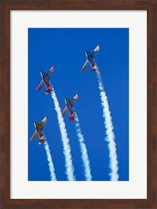 Framed Aerobatic display by North American Harvards, or T-6 Texans, or SNJ, Airshow Print