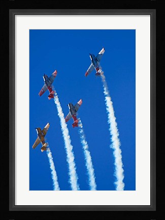 Framed Aerobatic display by North American Harvards, or T-6 Texans, or SNJ, Airshow Print